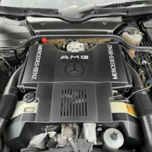 Alternative view of Original AMG M119 6.0L V8 Engine